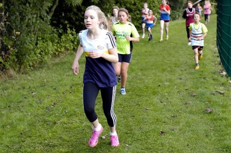 IMG 0116-2831